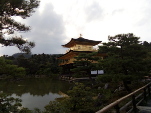 写真　米田